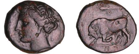 Sicile - Syracuse - Hiéron II (275-216) - Bronze au Koré et au taureau