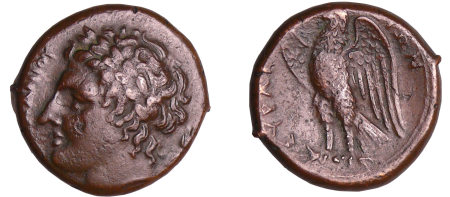 Sicile - Syracuse - Reigne d'Hiketas - Bronze (288-279 av. J.-C.)