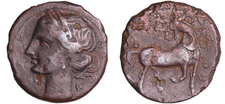Siculo-Puniques - Carthage - Bronze (220-210 av. J.-C.)