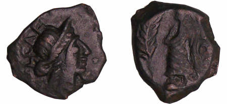 Volques Arécomiques - Narbonnaise - Bronze au Démos (70-30 av. J.-C.)