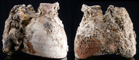 Romain - Fragment de jarre en terre cuite - 100 av. J.-C. / 100 ap. J.-C.