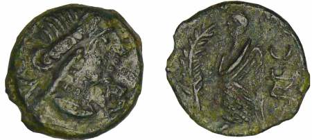 Volques Arécomiques - Narbonnaise - Bronze au Démos (70-30 av. J.-C.)