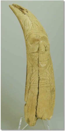 Caraïbes - Taino - Fragment de spatule vomitive en os - 14ème-17ème siècle ap. J.-C.