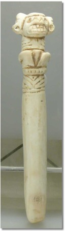Caraïbes - Taino - Spatule vomitive en coraille - 14ème-17ème siècle ap. J.-C.