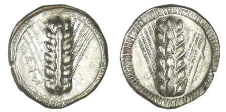 LUCANIE - Métaponte - Statère à l'épi (480-440 av. J.-C.)